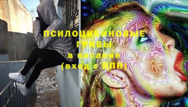 хмурый Туринск