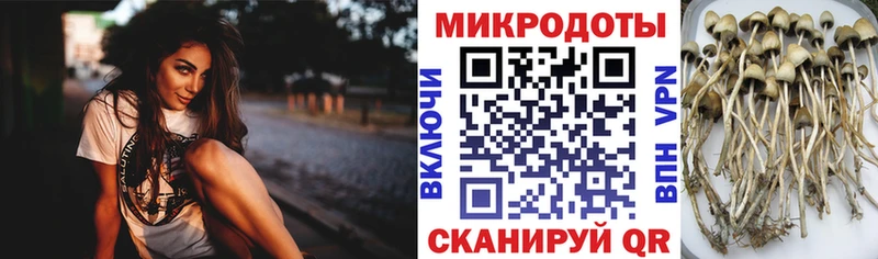 Галлюциногенные грибы MAGIC MUSHROOMS  Купить закладки  Артёмовск 
